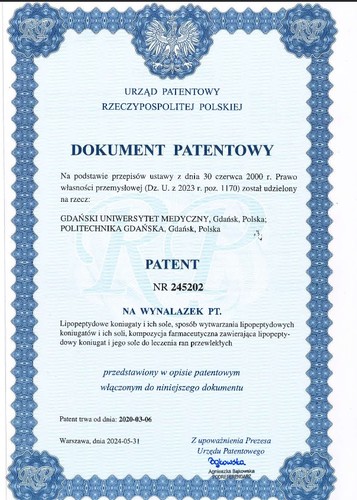 patent_2024-07-08.jpg