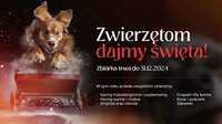 Zwierzętom Dajmy Święta