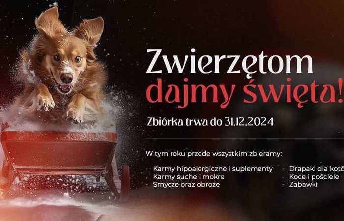 Święta dla zwierzaków
