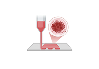 5_-_Untitled_slide_druk_3D_program_Biorender.jpg