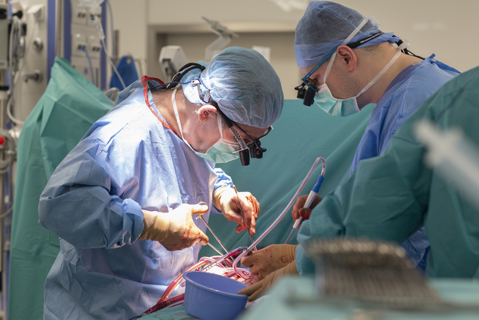 transplant_SERCE_fot.Sylwia_Mierzewska_UCK_50.jpg transplant_SERCE_fot.Sylwia_Mierzewska_UCK_50.jpg