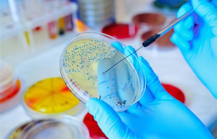 BIO-ART – spotkanie sztuki z biologią w GUMed