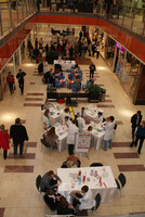 DSC07865.jpg