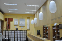 Obraz_144.jpg