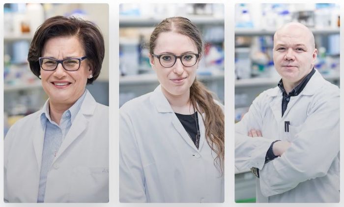 prof. dr hab. Ewa Łojkowska, dr Agata Motyka, dr inż. Wojciech Śledź/źródło: MWB UG i GUMed