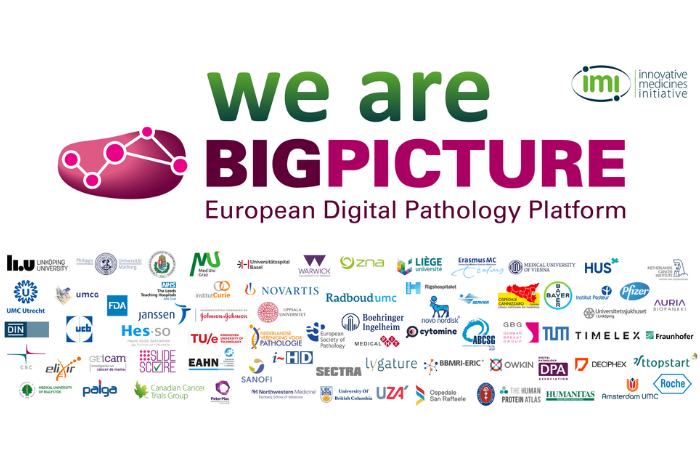Partnerstwo w międzynarodowym projekcie „BIGPICTURE"