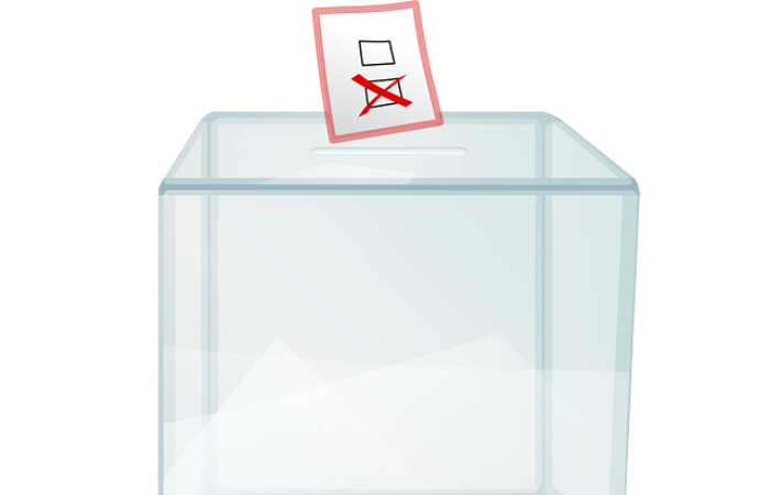 Informacja w sprawie wyborów do RDN - aktualizacja danych wyborców oraz możliwość dopisania się do listy wyborców