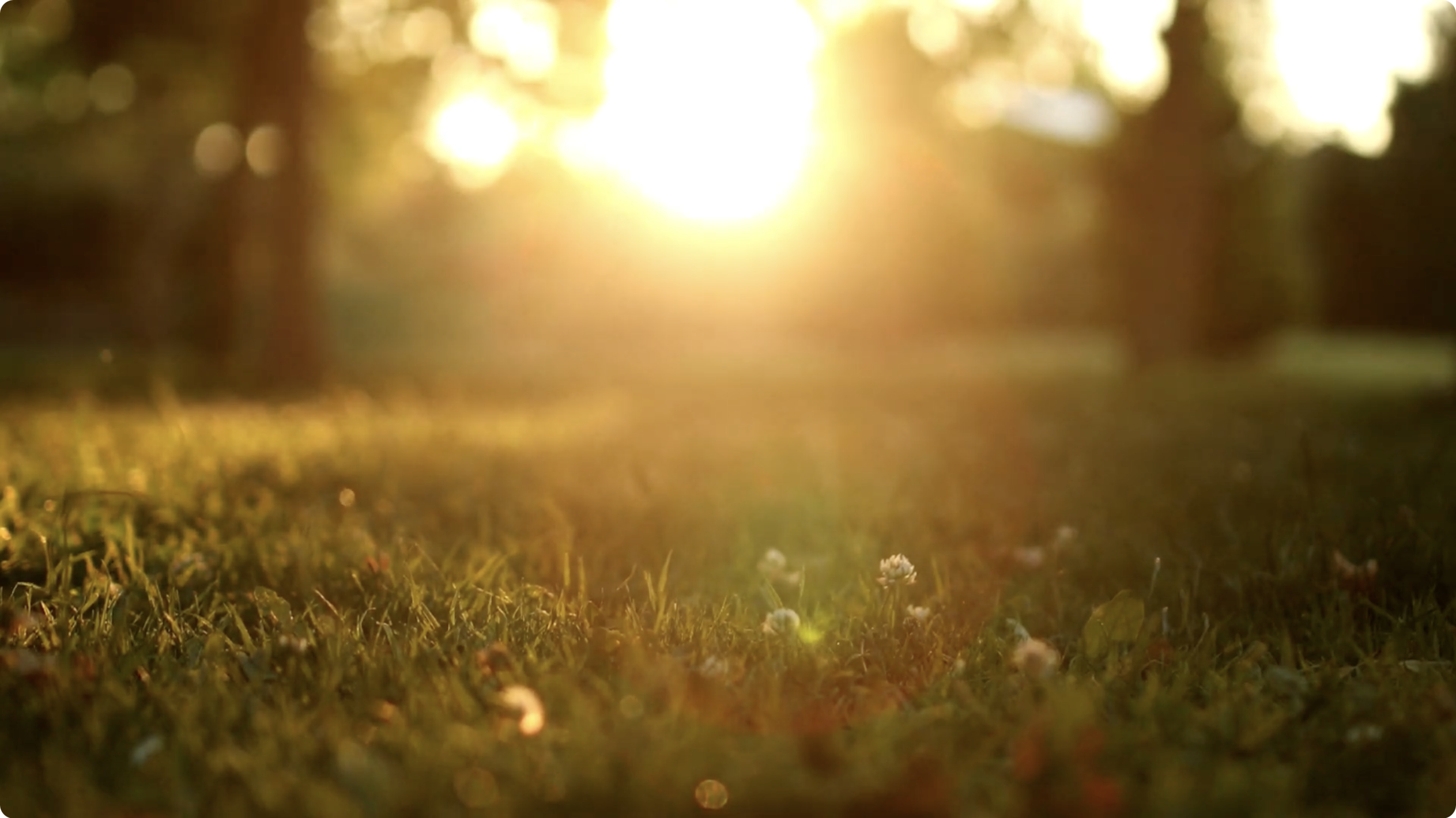 ,Leć głosie po rosie" - melodia ludowa, opr. Marcin Wawruk / Błażej Połom - dyrygent