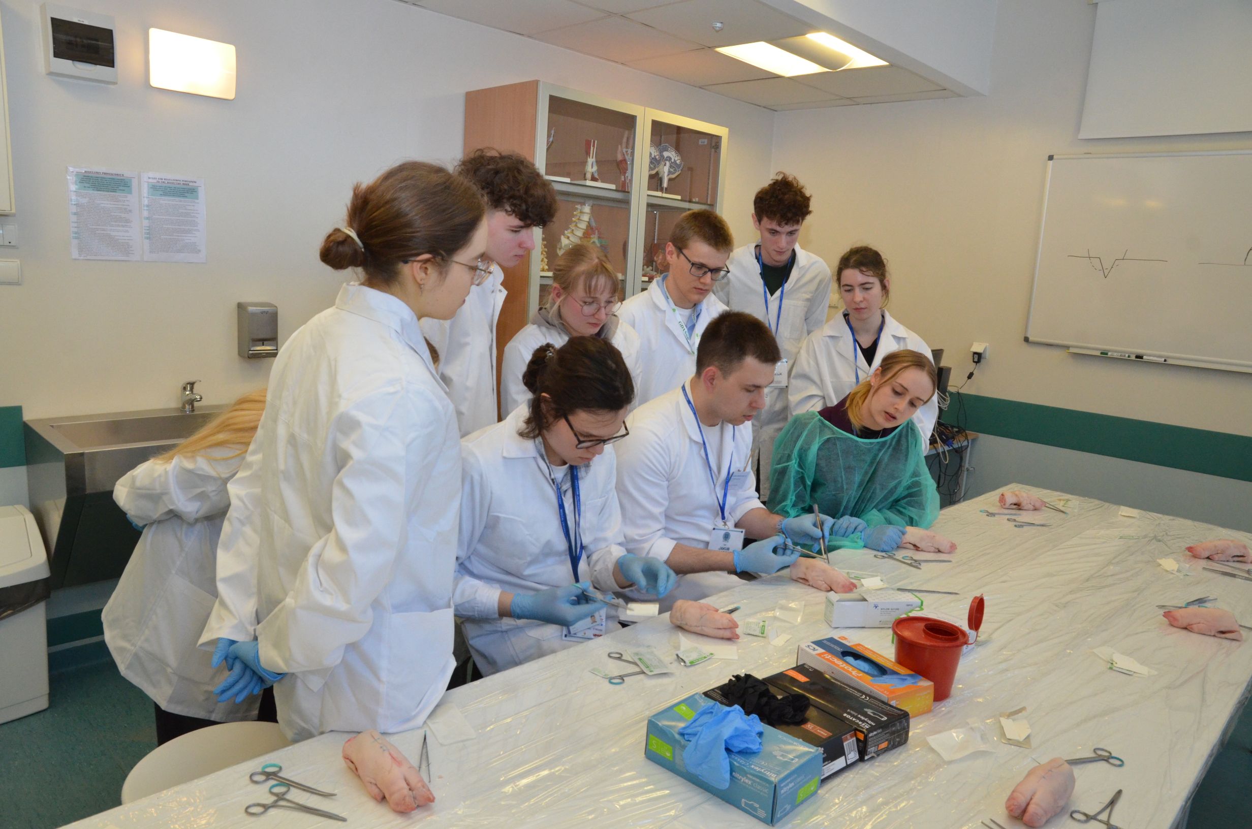 SIGMA: Studencka Inicjatywa GUMed – Medycyna i Anatomia”