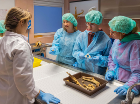 Pomorska Noc Naukowców