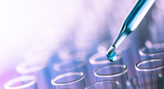 lab