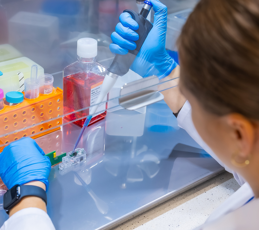 Przygotowanie tkanek do hodowli