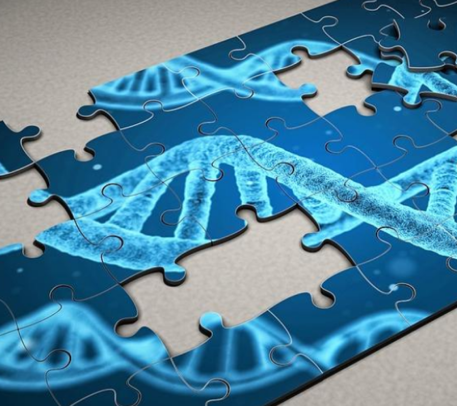 Grafika dna na puzzlach - banner