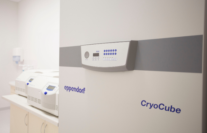 Zamrażarka niskotemperaturowa Eppendorf CryoCube w laboratorium CBKWF