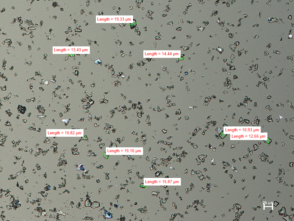 Zdjęcie zawiesiny homogennej pod mikroskopem