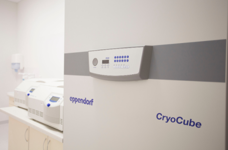 Zamrażarka niskotemperaturowa Eppendorf CryoCube w laboratorium CBKWF