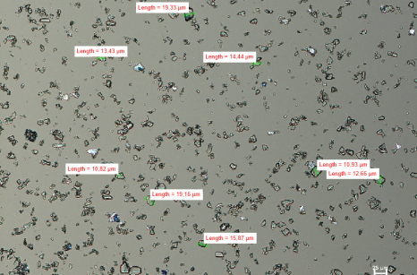 Zdjęcie zawiesiny homogennej pod mikroskopem